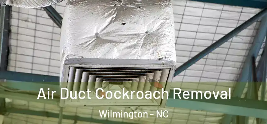Air Duct Cockroach Removal Wilmington - NC