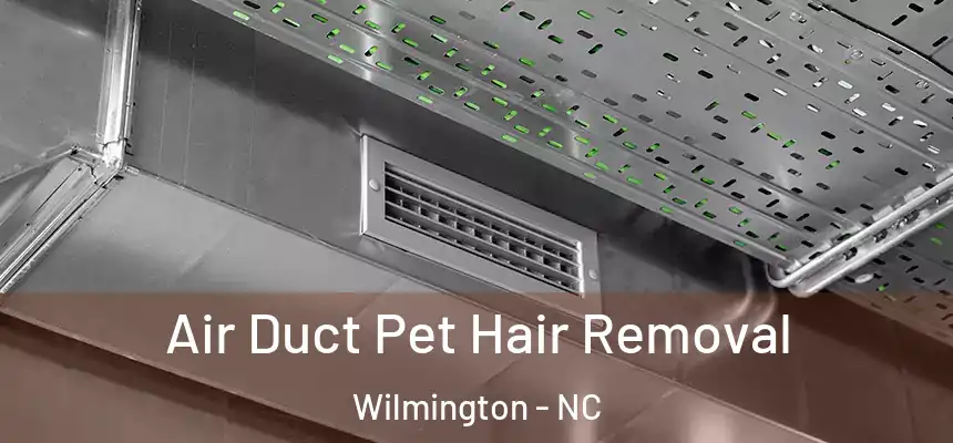 Air Duct Pet Hair Removal Wilmington - NC