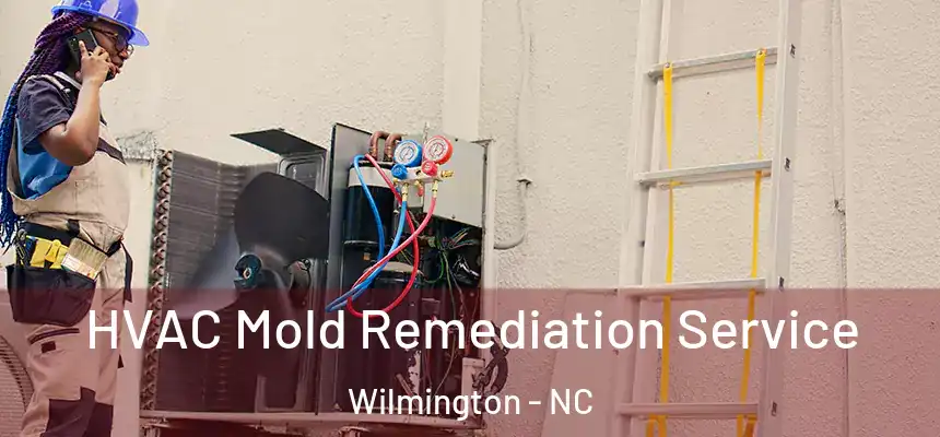 HVAC Mold Remediation Service Wilmington - NC