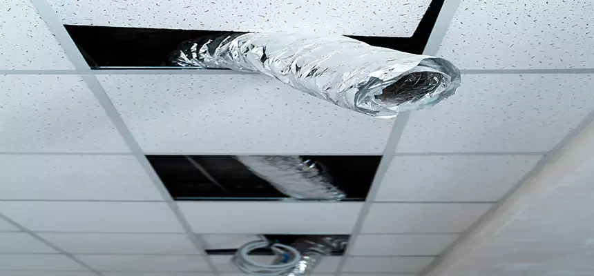 Our Air Duct Pet Hair Removal Services in Wilmington, NC