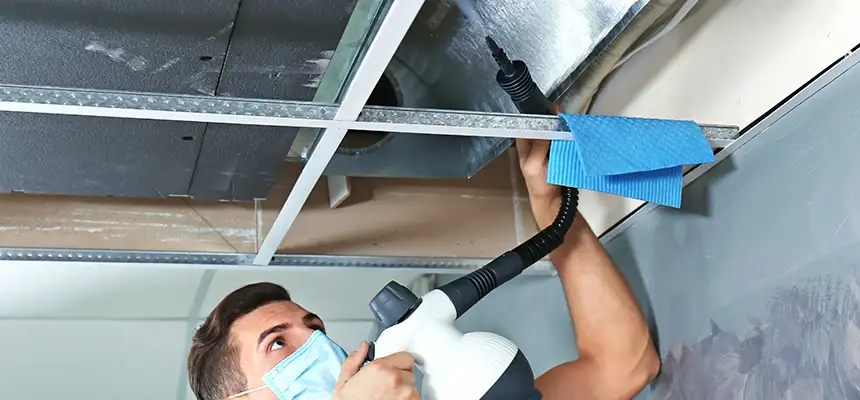 Our Air Duct Rodent Removal Services in Wilmington, NC