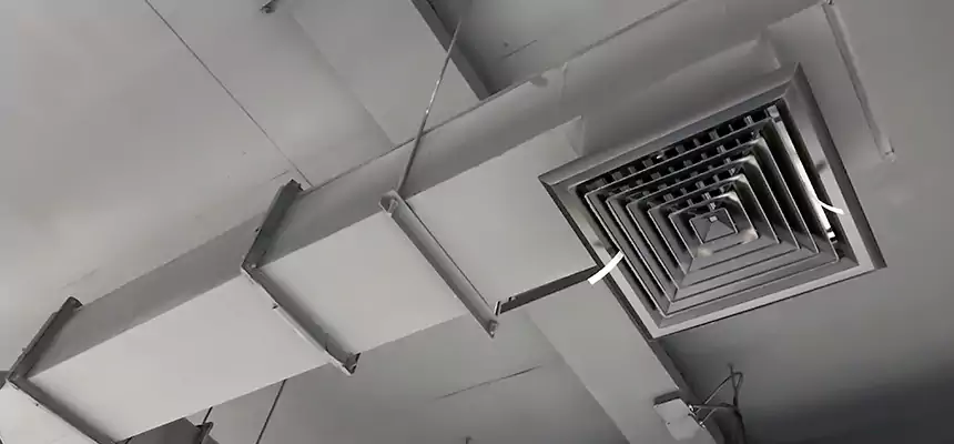 Our Rodent Droppings In Vents Services in Wilmington, NC