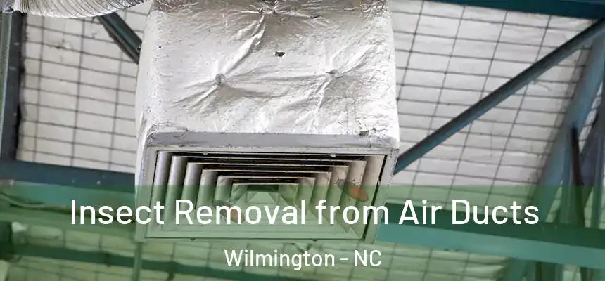 Insect Removal from Air Ducts Wilmington - NC
