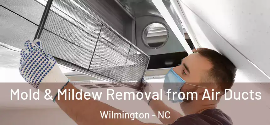  Mold & Mildew Removal from Air Ducts Wilmington - NC
