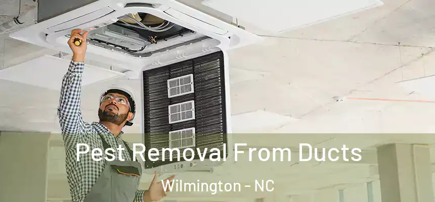 Pest Removal From Ducts Wilmington - NC