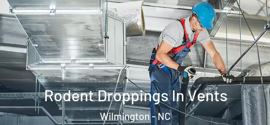 Rodent Droppings In Vents Wilmington - NC