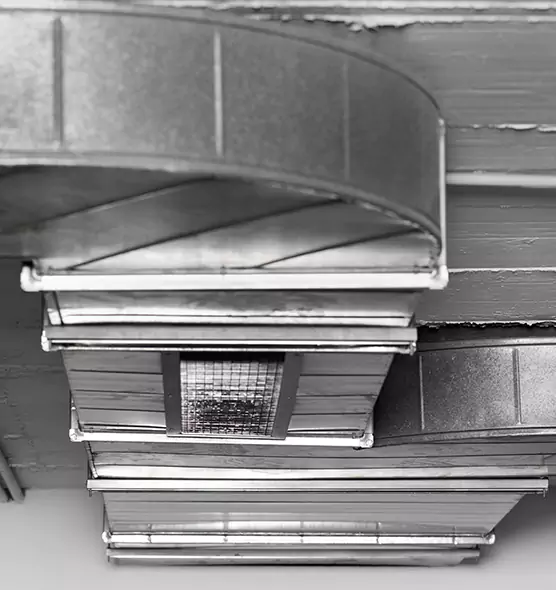 Professional Air Duct Pet Hair Removal in Wilmington, NC