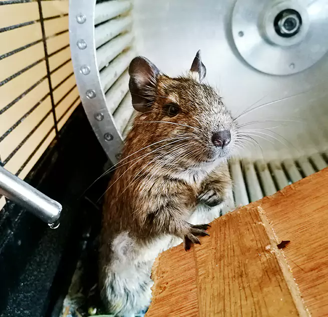 Why Homeowners & Businesses Trust Us Wilmington, NC