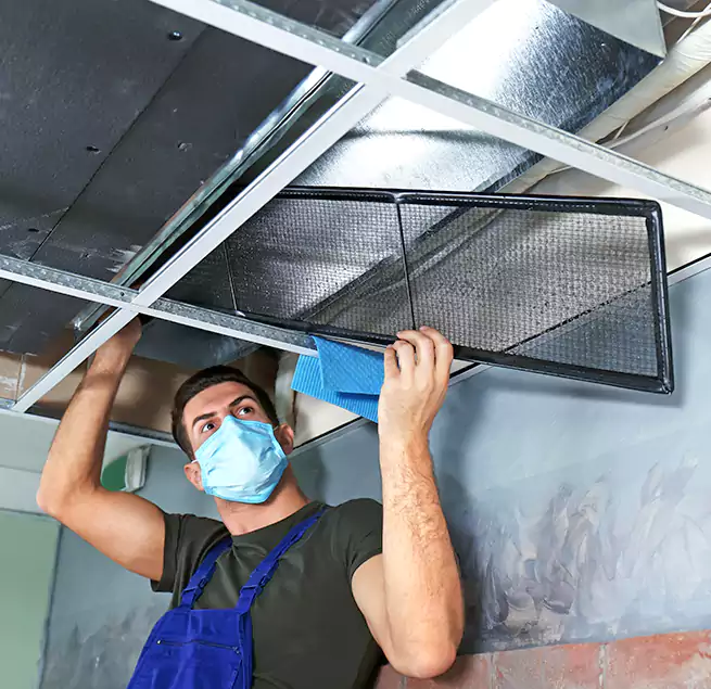 Why Homeowners Businesses Trust Us in Wilmington, NC