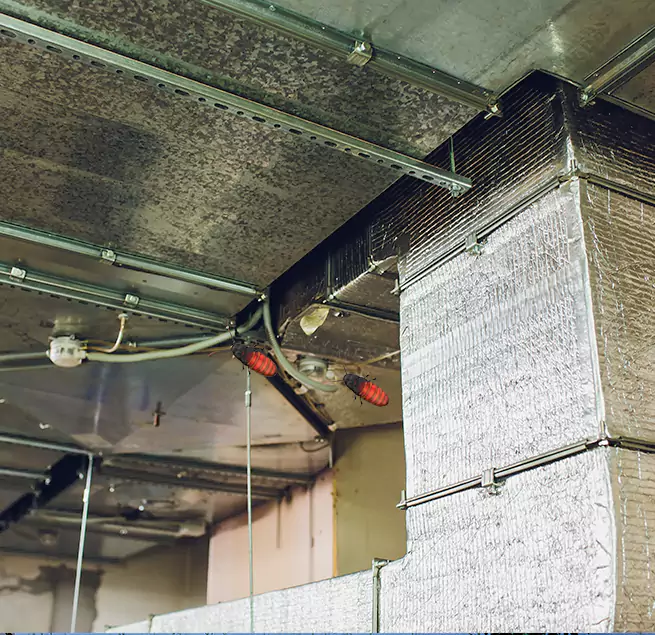 Why Homeowners & Businesses Trust Us Wilmington, NC?