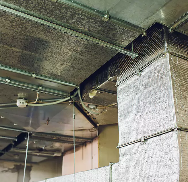 Why Homeowners & Businesses Trust Us in Wilmington, NC?